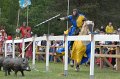 ADSC_6598 (364)